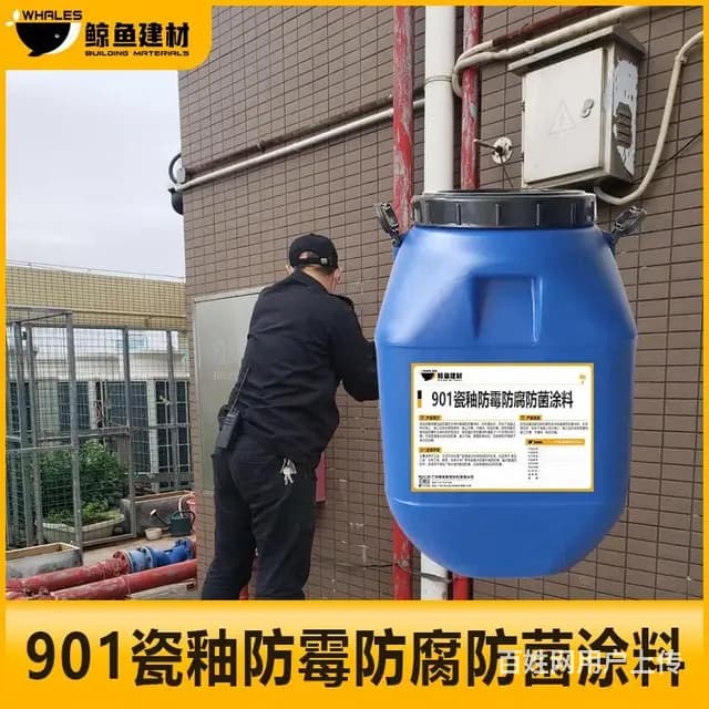 阳江901瓷釉防霉防腐  涂料服务至上 - 图片 2